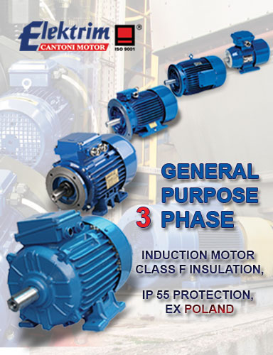 PT. Roda Rollen Indonesia, Distributor of Electric Motors And Gears Indonesia