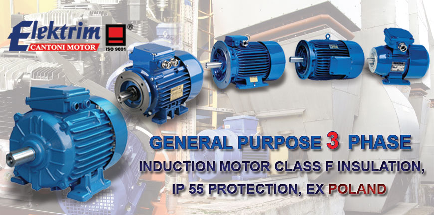 PT. Roda Rollen Indonesia, Distributor of Electric Motors And Gears Indonesia